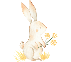rabbit-min
